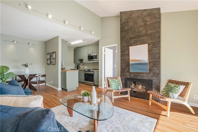 living room featuring a large fireplace and light hardwood / wood-style floors