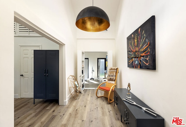 entryway featuring hardwood / wood-style flooring and a high ceiling