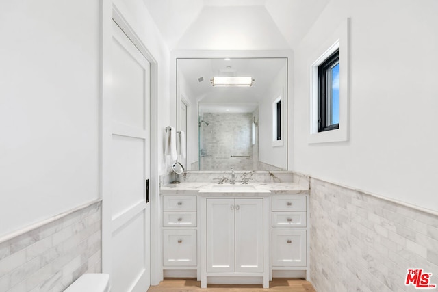 bathroom with vanity, tile walls, toilet, and a shower with door