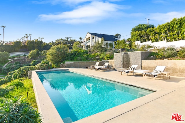 view of pool featuring a patio