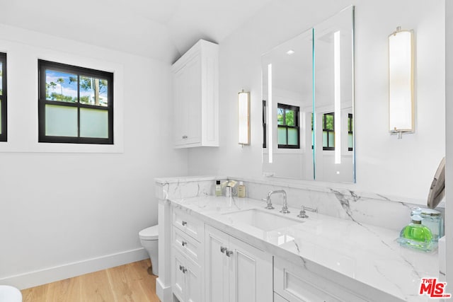 bathroom featuring hardwood / wood-style flooring, vanity, and toilet