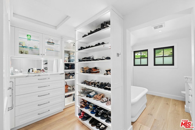 walk in closet with light wood-type flooring