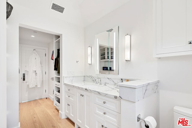 bathroom with wood-type flooring, vanity, and toilet