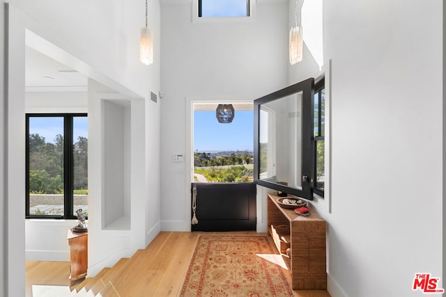 entrance foyer with light hardwood / wood-style flooring and a high ceiling