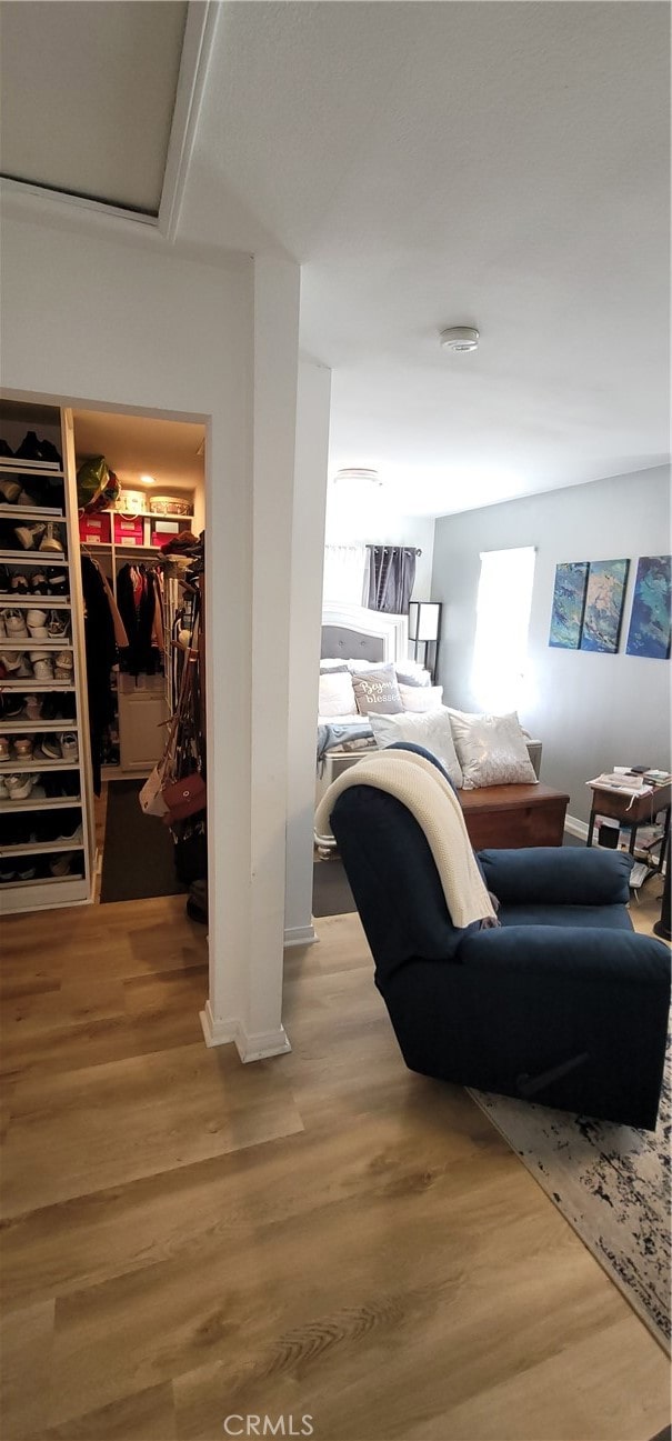 bedroom with a spacious closet, wood-type flooring, and a closet