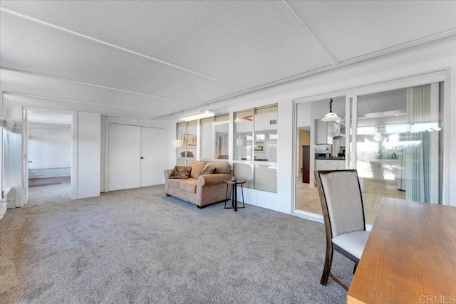 carpeted living room with a textured ceiling