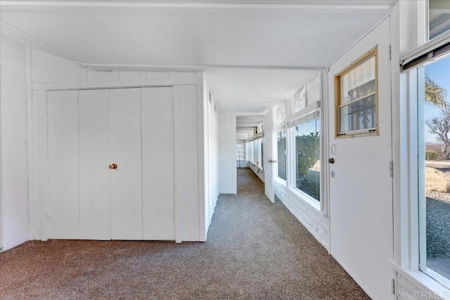 interior space with carpet and plenty of natural light