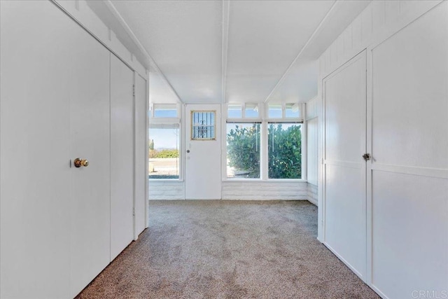 carpeted spare room with a healthy amount of sunlight