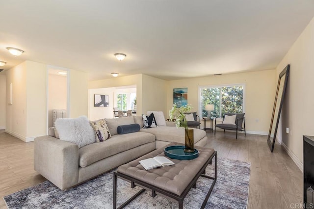 living room featuring light hardwood / wood-style flooring