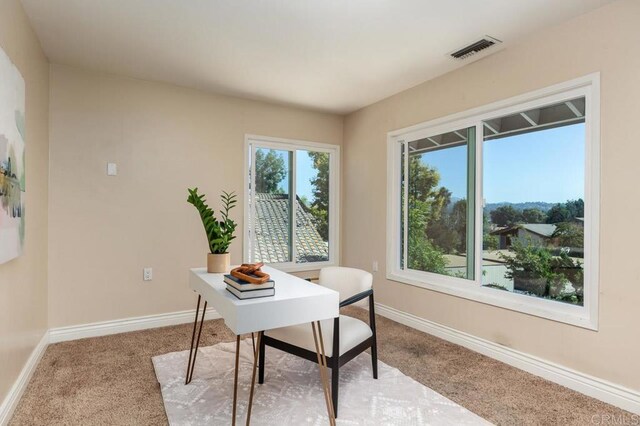 office space with light colored carpet