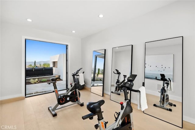 workout area featuring light wood-type flooring