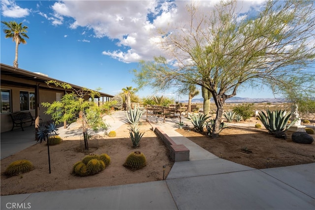 view of yard with a patio