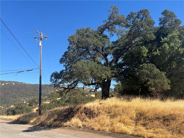 7761 Al Dr, Glenhaven, CA 95443 - photo 9