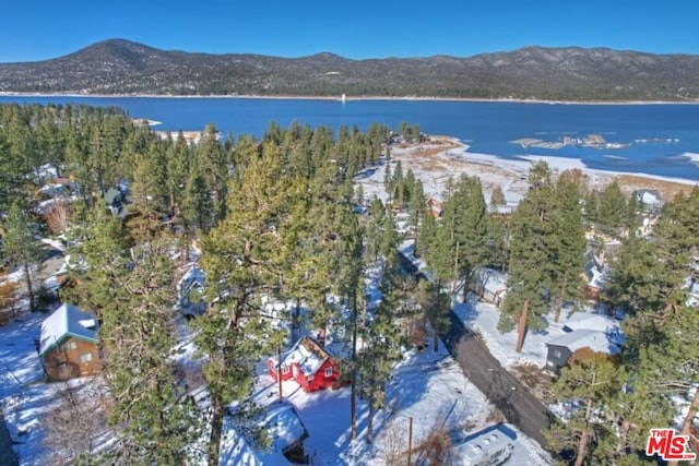 birds eye view of property featuring a water and mountain view