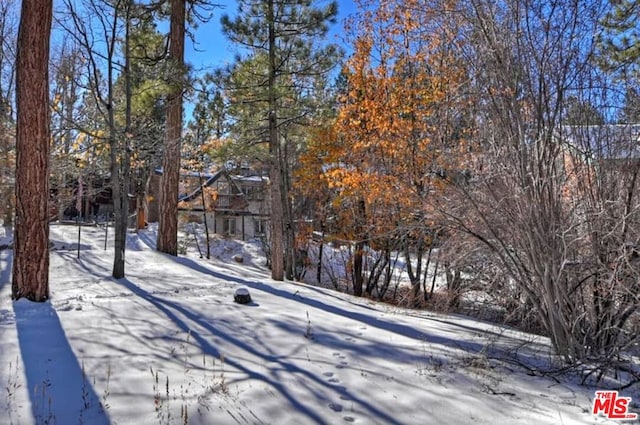 view of yard covered in snow