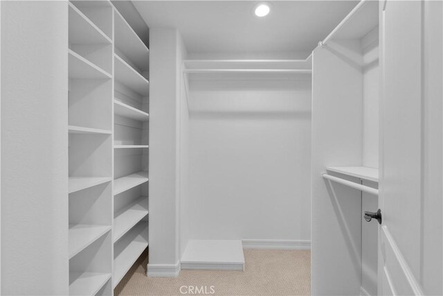 walk in closet with light carpet