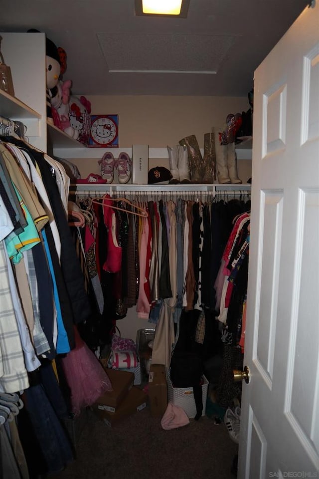 view of walk in closet