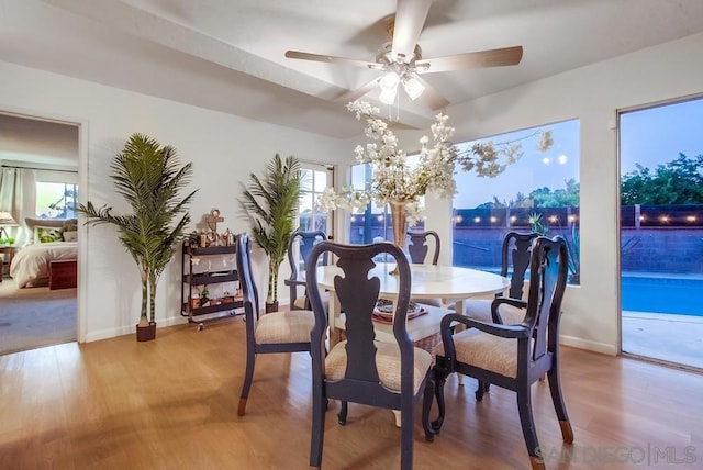 dining area featuring hardwood / wood-style floors and ceiling fan