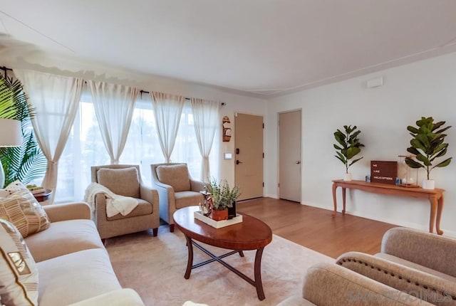 living room with wood-type flooring