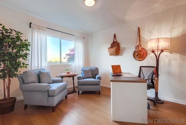 office featuring hardwood / wood-style floors