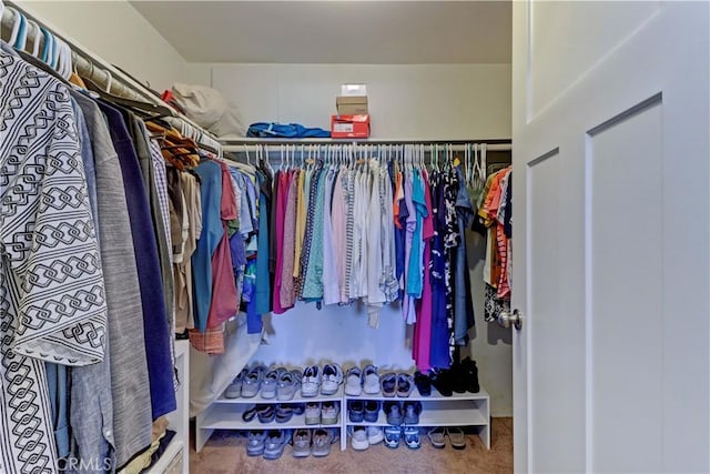 view of walk in closet