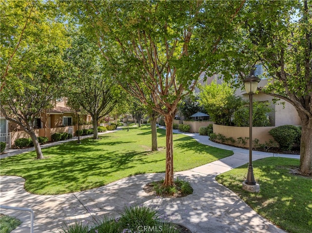 view of property's community featuring a yard