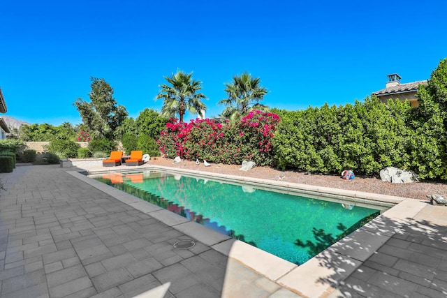 view of swimming pool with a patio area