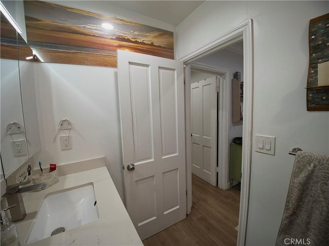 bathroom featuring wood finished floors and vanity