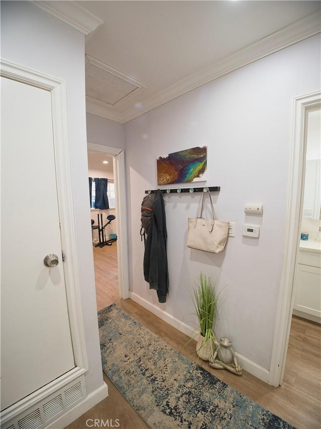 mudroom with light wood finished floors, attic access, visible vents, baseboards, and ornamental molding