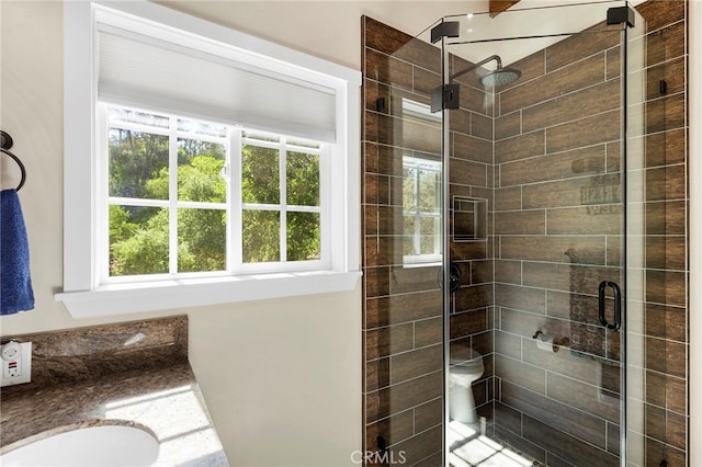 bathroom featuring vanity, toilet, walk in shower, and plenty of natural light