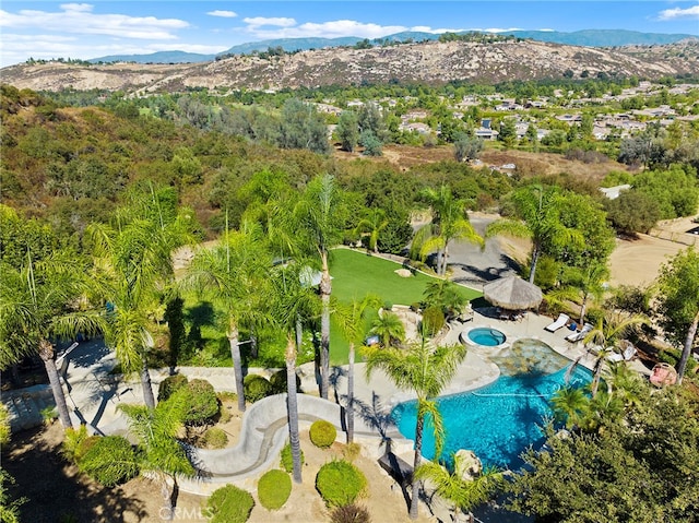 birds eye view of property featuring a mountain view