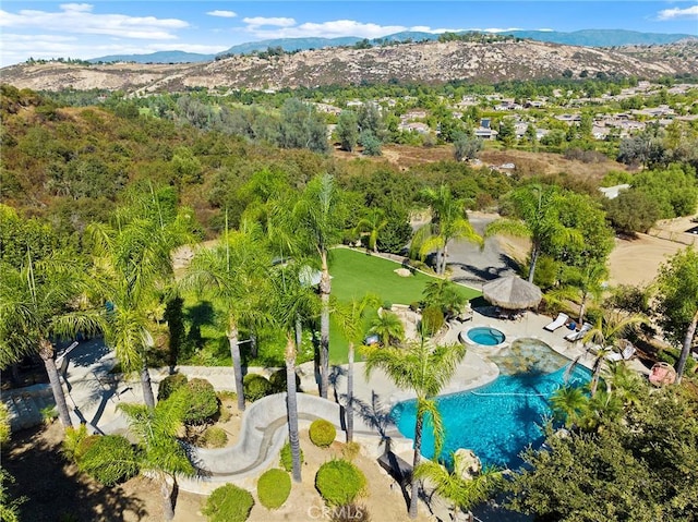 14179 Woods Valley Rd, Valley Center, CA 92082 - photo 73