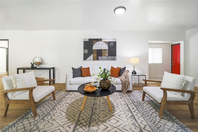 living room with light hardwood / wood-style floors