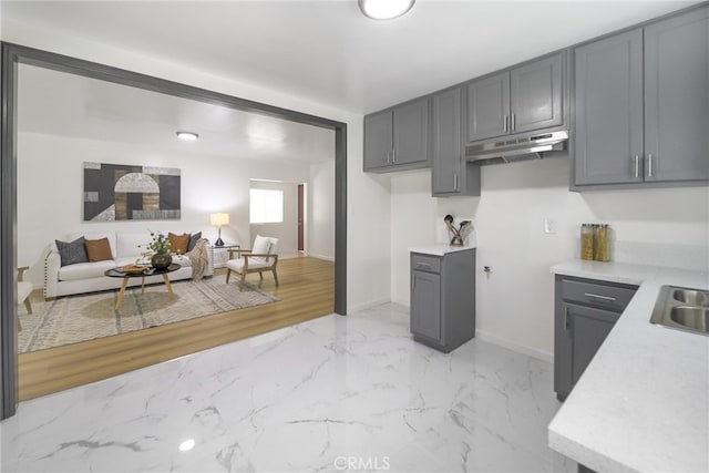 kitchen featuring light hardwood / wood-style floors, sink, and gray cabinetry