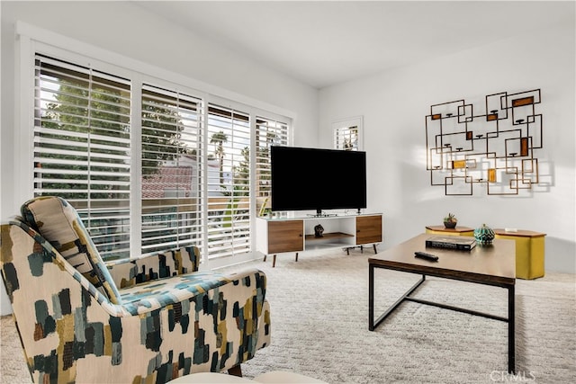 carpeted living room featuring a wealth of natural light