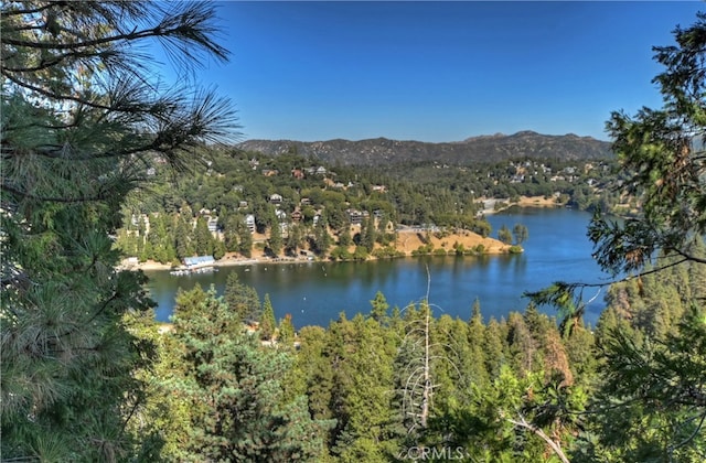 property view of water featuring a mountain view