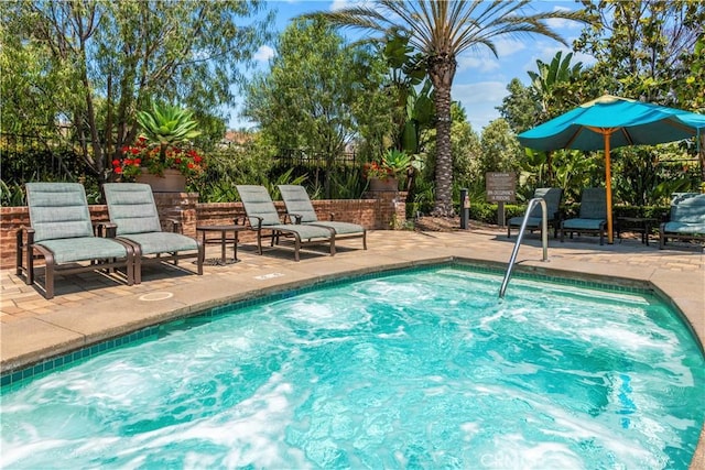 view of swimming pool with a patio