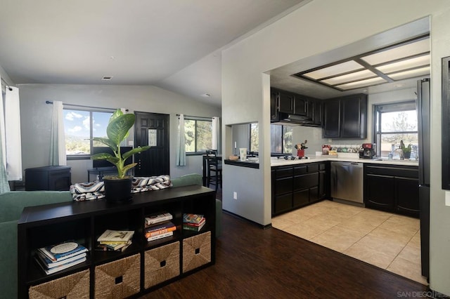 kitchen with sink, light hardwood / wood-style floors, vaulted ceiling, and stainless steel dishwasher