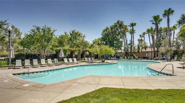 view of pool featuring a patio