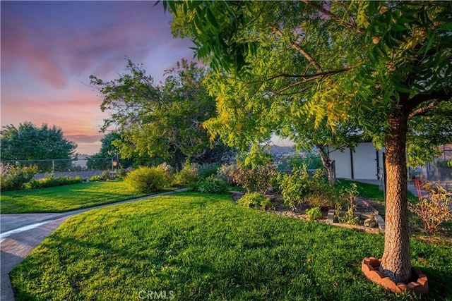 view of yard at dusk