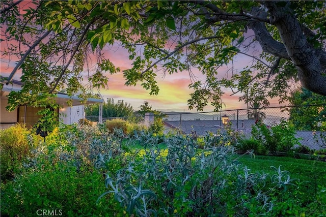 view of yard at dusk