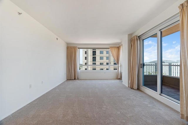 unfurnished living room with light carpet