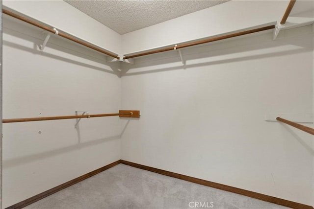 spacious closet featuring light colored carpet