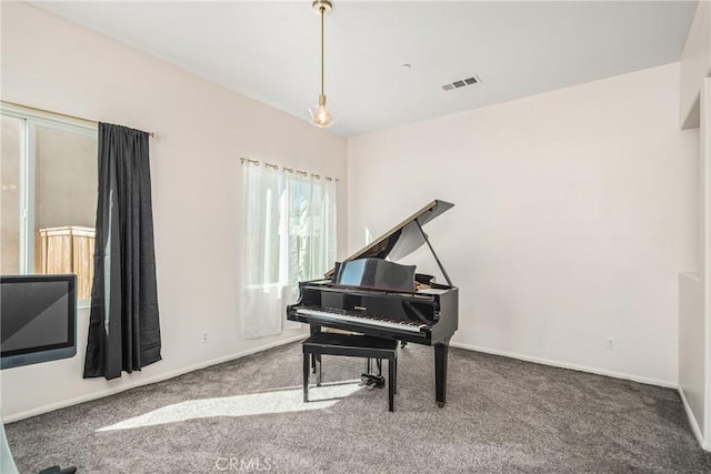 miscellaneous room with carpet flooring