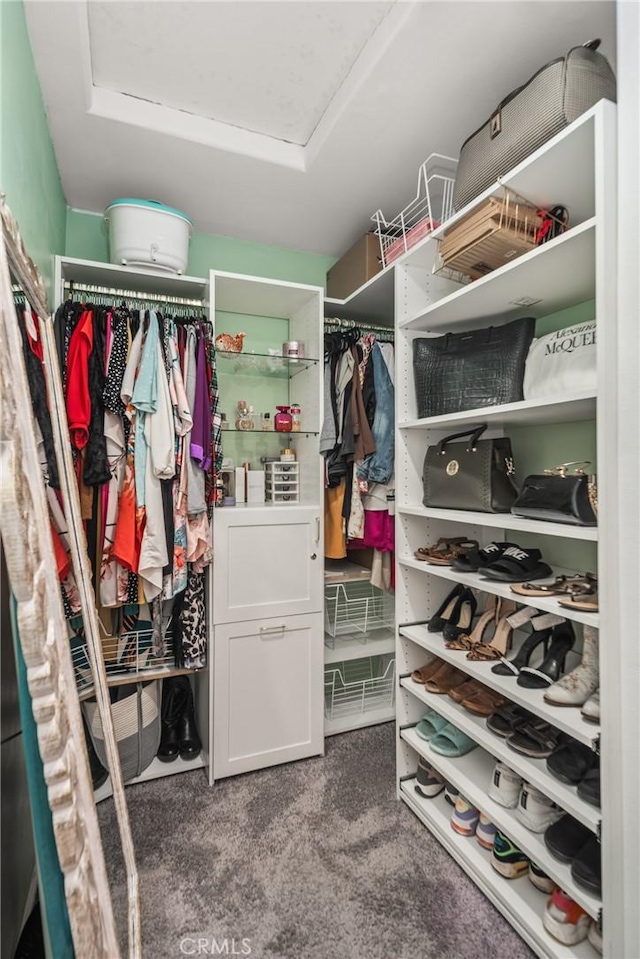 spacious closet featuring carpet