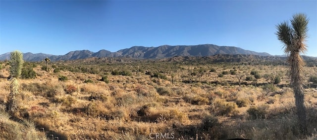 11640 Fort Tejon Rd, Pearblossom CA, 93553 land for sale