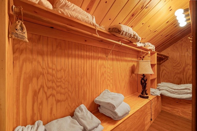 walk in closet featuring hardwood / wood-style floors