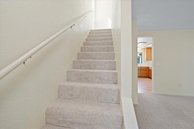 stairs featuring carpet