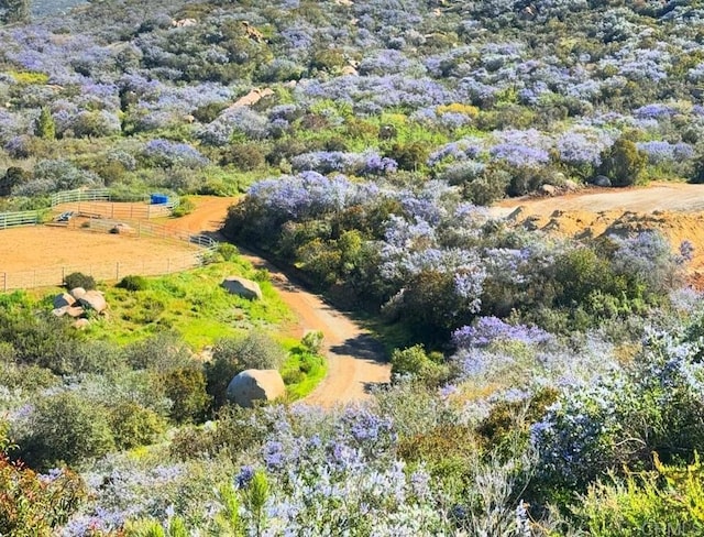 aerial view with a rural view