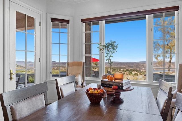 dining room featuring a mountain view, hardwood / wood-style floors, and a healthy amount of sunlight